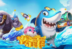 333体育电脑免费版