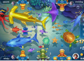 333体育2024最新版